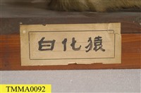 臺灣獼猴藏品圖，第14張